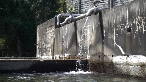 Tap Water
