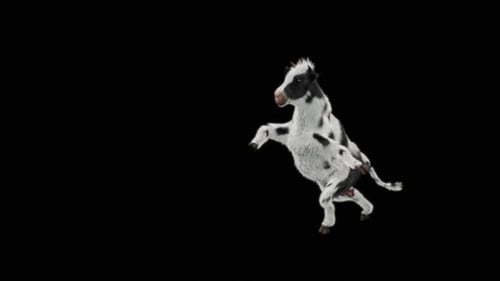 3D Animated Black and White Cow Dancing