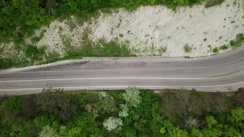 Aerial Top Down View Of A Fir Tree Forest And Rural Car Road