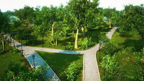 Lush Green Park Aerial View with Walking Paths