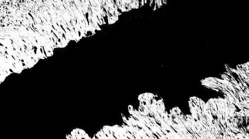 Black Ink on White Isolated Background