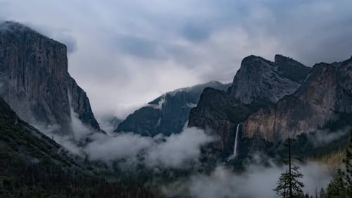 Yosemite Park