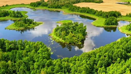 Stunning green forest and blue lake in summer, aerial view