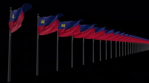 Waving Liechtenstein Flag Array Animation