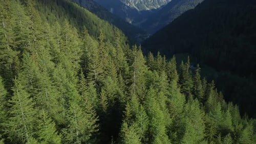 Kurvenreiche Straßen