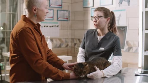 Woman Discussing Cat Health with Vet in Clinic