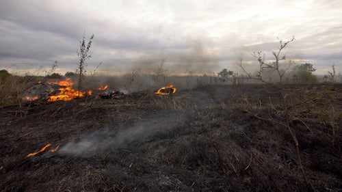 Feuer auf einem Feld in der Steppe