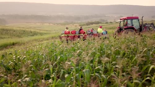 Aerial pulling away from tractor going through field pulling filled corn wagon with workers on the b