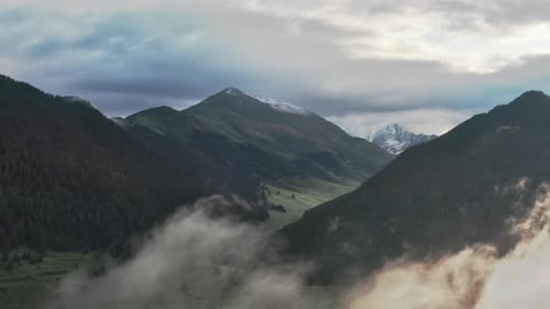 Classic Alps Landscape Snowcapped Peaks Meadows and Dense Green Forests