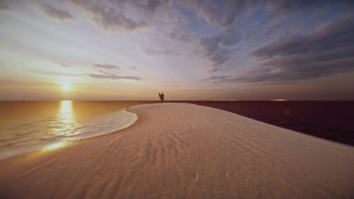 Person with Surfboard Reveal on Beach at Sunset