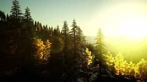 Bright Sunset in the Mountains