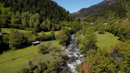Pinienwälder und Fluss
