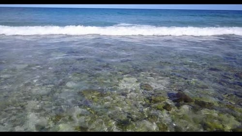 Aerial drone shot texture of idyllic shore beach wildlife by clear water and white sandy background