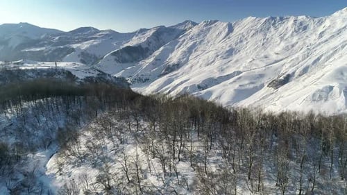 Snowy Mountains and Forest Aerial View