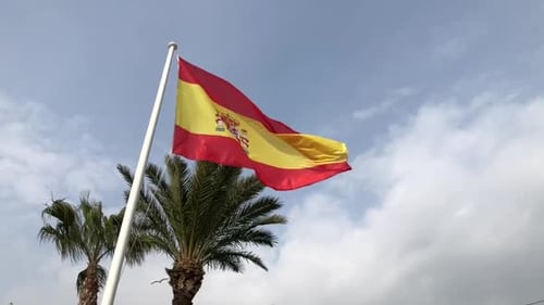 Spanish Flag Waving in the Wind with Palm Trees