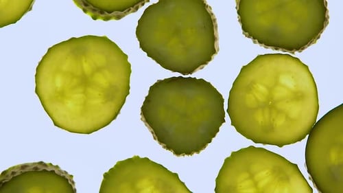 Pickle Cucumber Slices Close Up on White