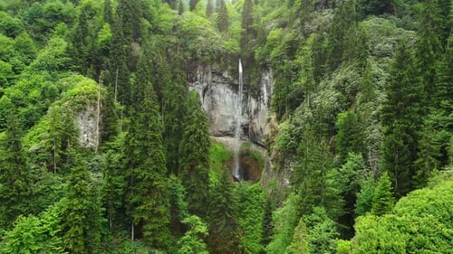 Wasserfall im grünen Bergwald