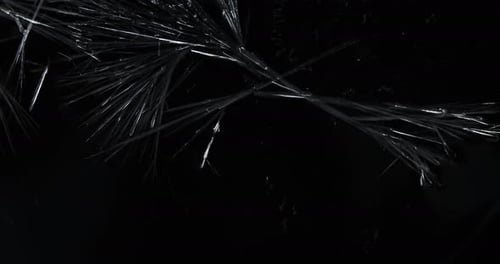 Crystallization