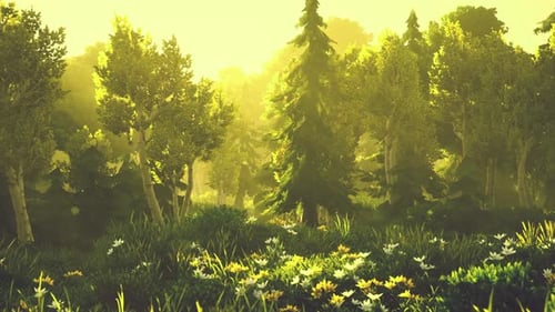 Cartoon Blühender grüner Wald bei Sonnenuntergang