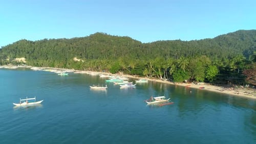 Aerial View of Island with Tropical Sandy Beach and Palm Trees