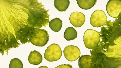 Crisp Lettuce and Cucumber Slices on White