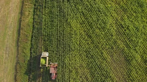 Aerial View of Corn Harvest with Tractor and Truck