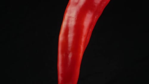 Close Up of a Red Pepper on Black