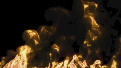 Bonfire burning, fire with particles of fiery coals.