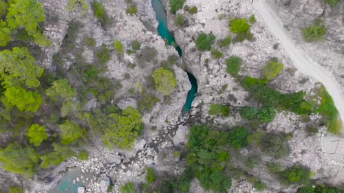 Flight Over a Mountain River and a Trail to a Gorge Among a Coniferous Forest