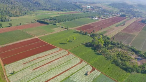 Aerial top view of fresh grass, rice and crops field with green mountain hill in agriculture