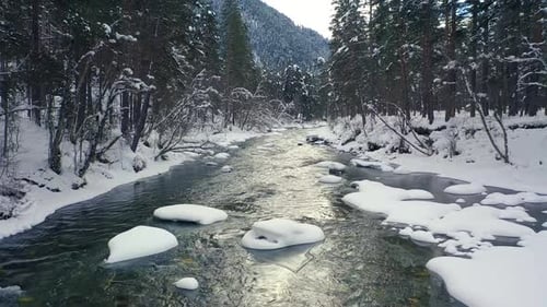 Schöne Schneelandschaft Wald im Winter