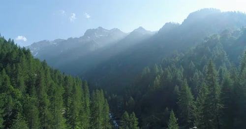 S'éloigner au-dessus de la forêt de pins et de la vallée des montagnes avec des rayons de soleil en été