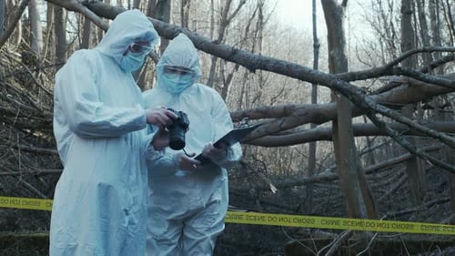Forensic specialists working in the forest. Crime scene and police concept.