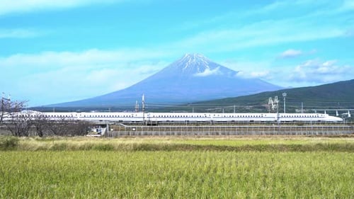 Tren Shinkansen. Tren rápido de alta velocidad, conduciendo y pasando por la montaña Fuji y un campo de arroz verde, Japón
.