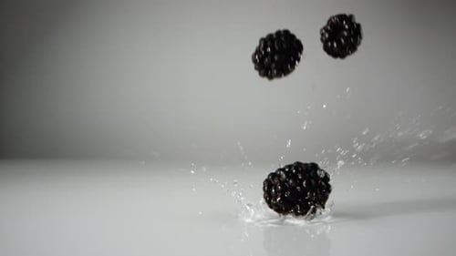 Blackberries falling on water surface. Slow Motion.