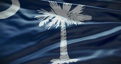 Realistic South Carolina Flag Waving with Fabric Texture Loop