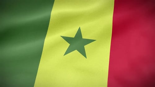 Waving Flag of Senegal with Realistic Fabric Texture