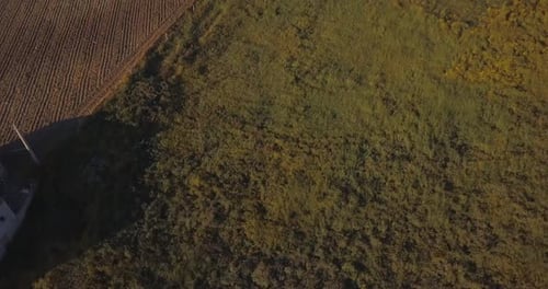 Aerial view of the Italy green wine yards