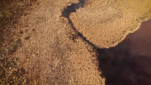 Luftaufnahme der erstaunlichen surrealen Landschaft rund um den Valgejarv-See in Estland.