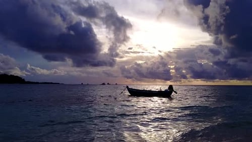 Aerial view texture of seashore beach wildlife by blue water and sand background