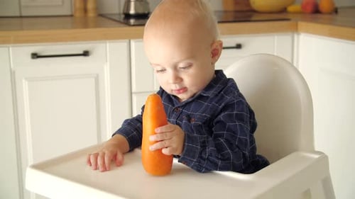 Cute Baby Exploring a Carrot in Highchair