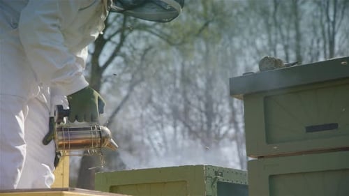 BEEKEEPING - A beekeeper smokes beehives to keep bees calm, slowmo medium shot