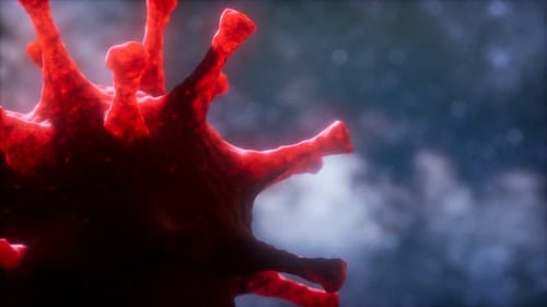 Red Virus Cell with Spikes 3D Animation