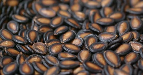 Black watermelon seed