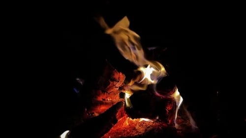 Burning Flame on Wood at Night