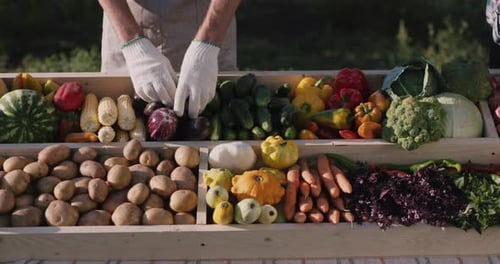 Fresh Vegetables Arranged on Wooden Table Display