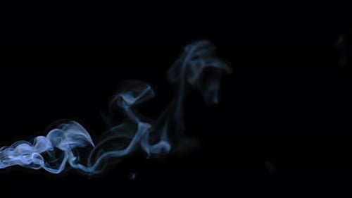 Smoke Stream (4K)