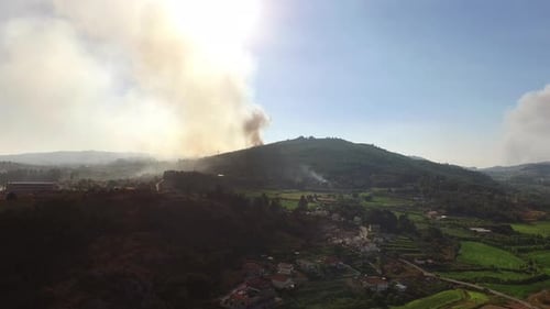 Forest Fire in the Mountains