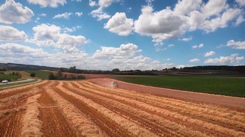 Weizenernte ernten