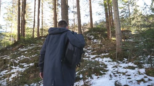 Rear Back View of Young Hiker with Backpack Walking on Mountain Pine Forest During Journey on Sunny
